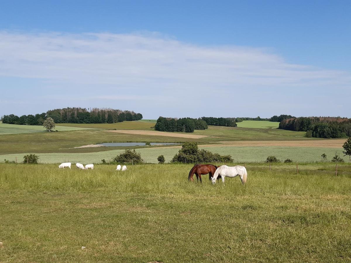 Ubytovani U Krivanku 1 Telč Dış mekan fotoğraf