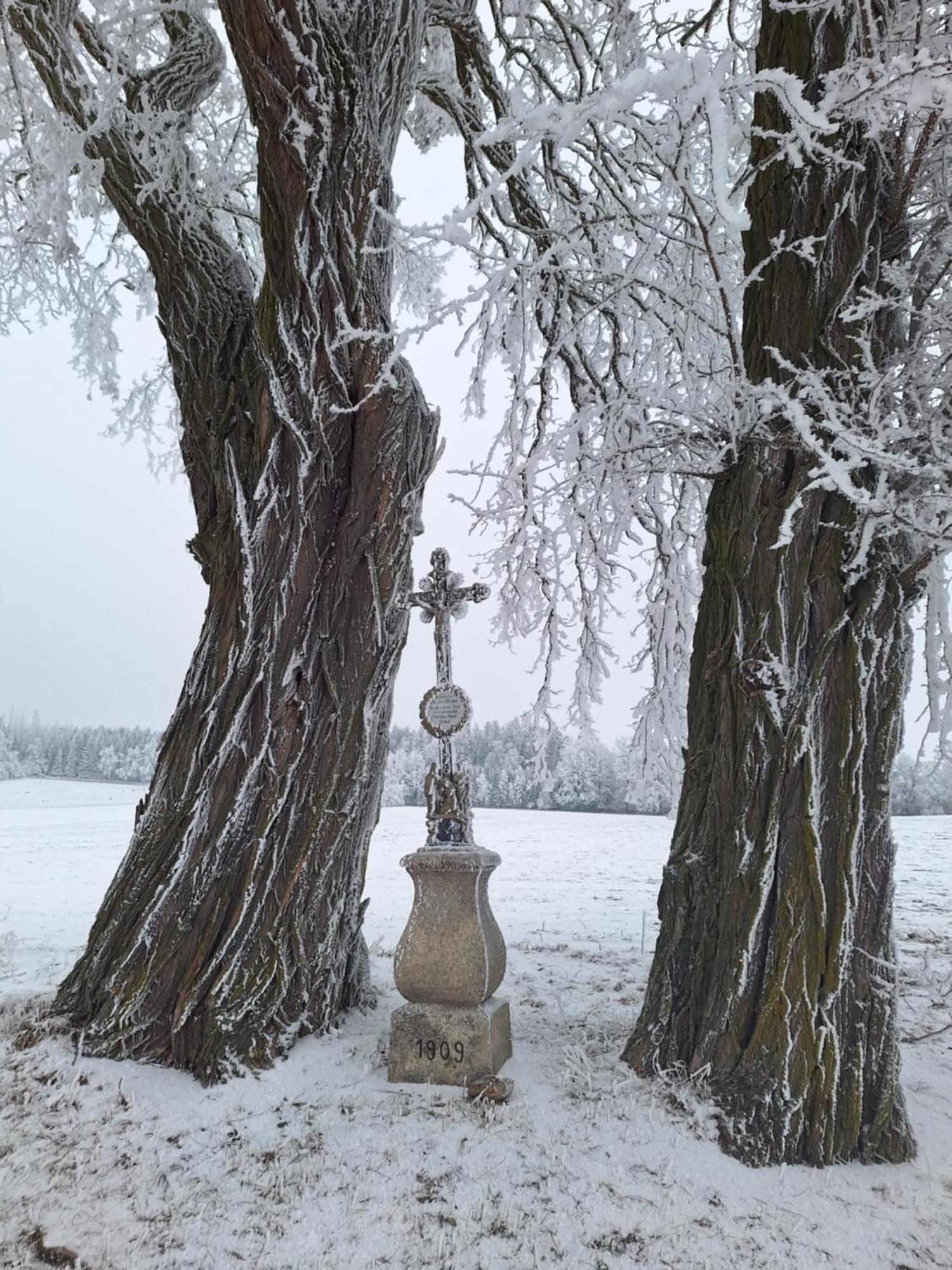 Ubytovani U Krivanku 1 Telč Dış mekan fotoğraf
