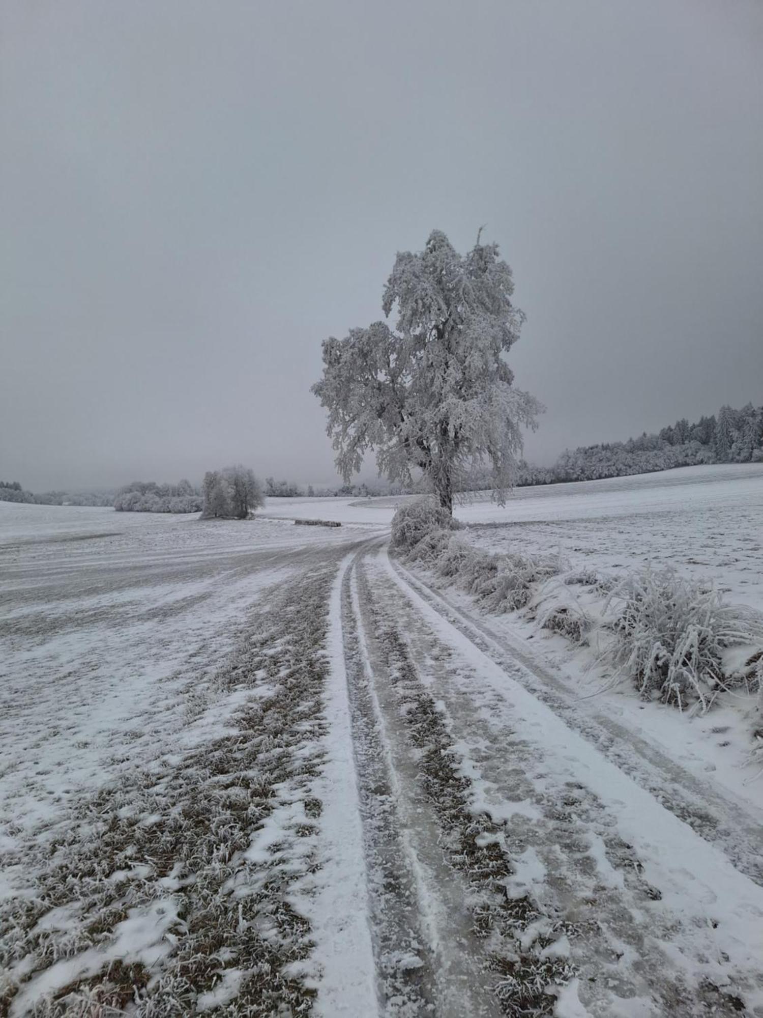 Ubytovani U Krivanku 1 Telč Dış mekan fotoğraf